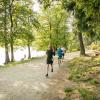 pferd-werkzeuge-lauf-06-2017 (427)
