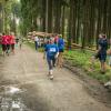 pferd-werkzeuge-lauf-06-2017 (684)