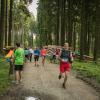 pferd-werkzeuge-lauf-06-2017 (647)