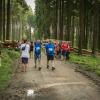 pferd-werkzeuge-lauf-06-2017 (679)