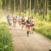pferd-werkzeuge-lauf-06-2017 (390)