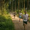 pferd-werkzeuge-lauf-06-2017 (352)