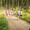 pferd-werkzeuge-lauf-06-2017 (375)