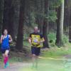 17-06-01 Pferd Lauf, Berlin 331