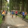 pferd-werkzeuge-lauf-06-2017 (613)