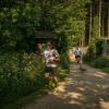 pferd-werkzeuge-lauf-06-2017 (257)