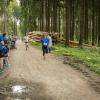 pferd-werkzeuge-lauf-06-2017 (583)