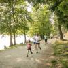 pferd-werkzeuge-lauf-06-2017 (462)