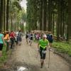 pferd-werkzeuge-lauf-06-2017 (645)