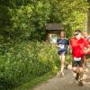 pferd-werkzeuge-lauf-06-2017 (320)