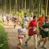 pferd-werkzeuge-lauf-06-2017 (389)