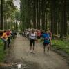 pferd-werkzeuge-lauf-06-2017 (639)
