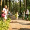 pferd-werkzeuge-lauf-06-2017 (7)