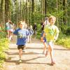 pferd-werkzeuge-lauf-06-2017 (31)