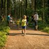 pferd-werkzeuge-lauf-06-2017 (16)