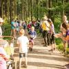 pferd-werkzeuge-lauf-06-2017 (90)