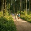 pferd-werkzeuge-lauf-06-2017 (345)