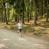 pferd-werkzeuge-lauf-06-2017 (552)