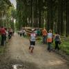 pferd-werkzeuge-lauf-06-2017 (597)