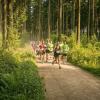 pferd-werkzeuge-lauf-06-2017 (366)