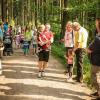 pferd-werkzeuge-lauf-06-2017 (139)