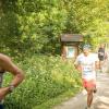 pferd-werkzeuge-lauf-06-2017 (292)
