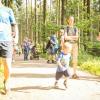 pferd-werkzeuge-lauf-06-2017 (79)