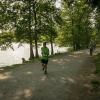pferd-werkzeuge-lauf-06-2017 (446)
