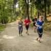 pferd-werkzeuge-lauf-06-2017 (415)