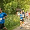 pferd-werkzeuge-lauf-06-2017 (281)