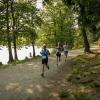 pferd-werkzeuge-lauf-06-2017 (420)