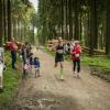 pferd-werkzeuge-lauf-06-2017 (569)