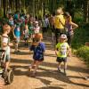 pferd-werkzeuge-lauf-06-2017 (106)