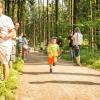 pferd-werkzeuge-lauf-06-2017 (12)