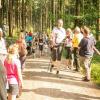 pferd-werkzeuge-lauf-06-2017 (121)