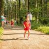 pferd-werkzeuge-lauf-06-2017 (42)