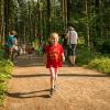 pferd-werkzeuge-lauf-06-2017 (45)