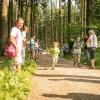 pferd-werkzeuge-lauf-06-2017 (6)