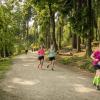 pferd-werkzeuge-lauf-06-2017 (411)