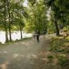 pferd-werkzeuge-lauf-06-2017 (436)