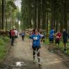 pferd-werkzeuge-lauf-06-2017 (664)