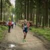 pferd-werkzeuge-lauf-06-2017 (671)
