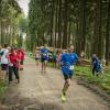 pferd-werkzeuge-lauf-06-2017 (691)
