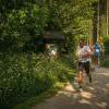 pferd-werkzeuge-lauf-06-2017 (286)