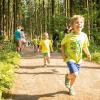 pferd-werkzeuge-lauf-06-2017 (18)