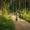 pferd-werkzeuge-lauf-06-2017 (346)