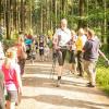 pferd-werkzeuge-lauf-06-2017 (122)