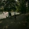 pferd-werkzeuge-lauf-06-2017 (430)
