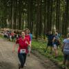 pferd-werkzeuge-lauf-06-2017 (641)