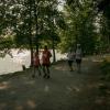 pferd-werkzeuge-lauf-06-2017 (521)